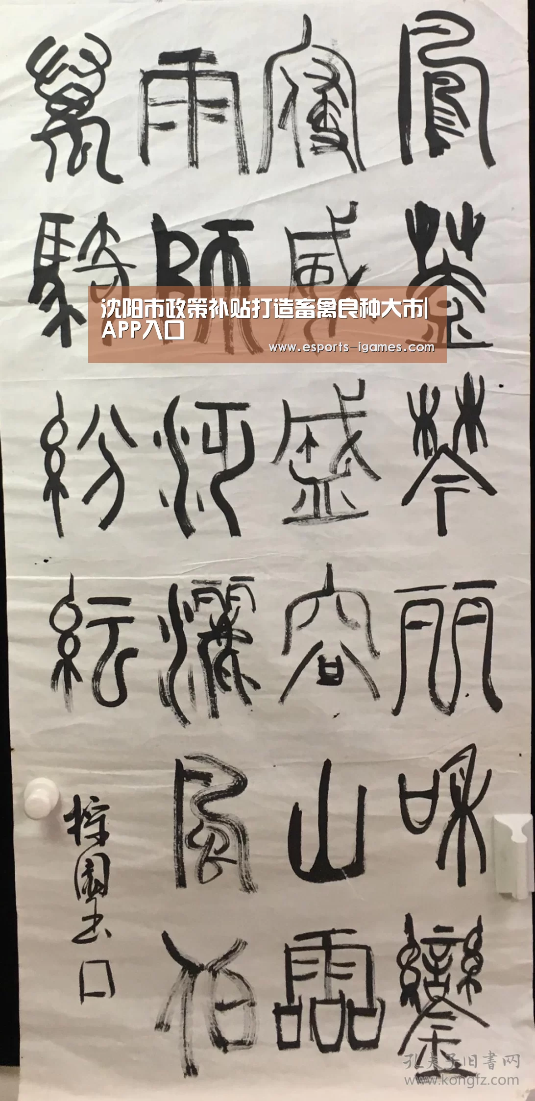 沈阳市政策补贴打造畜禽良种大市|APP入口(图2) 爱游戏官网
