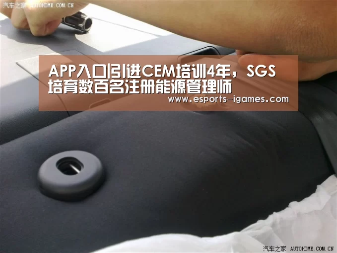 APP入口