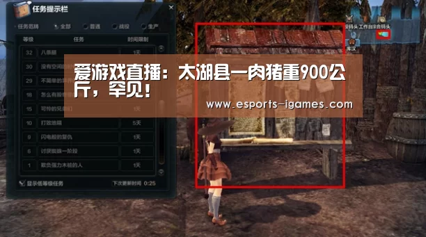 爱游戏官网