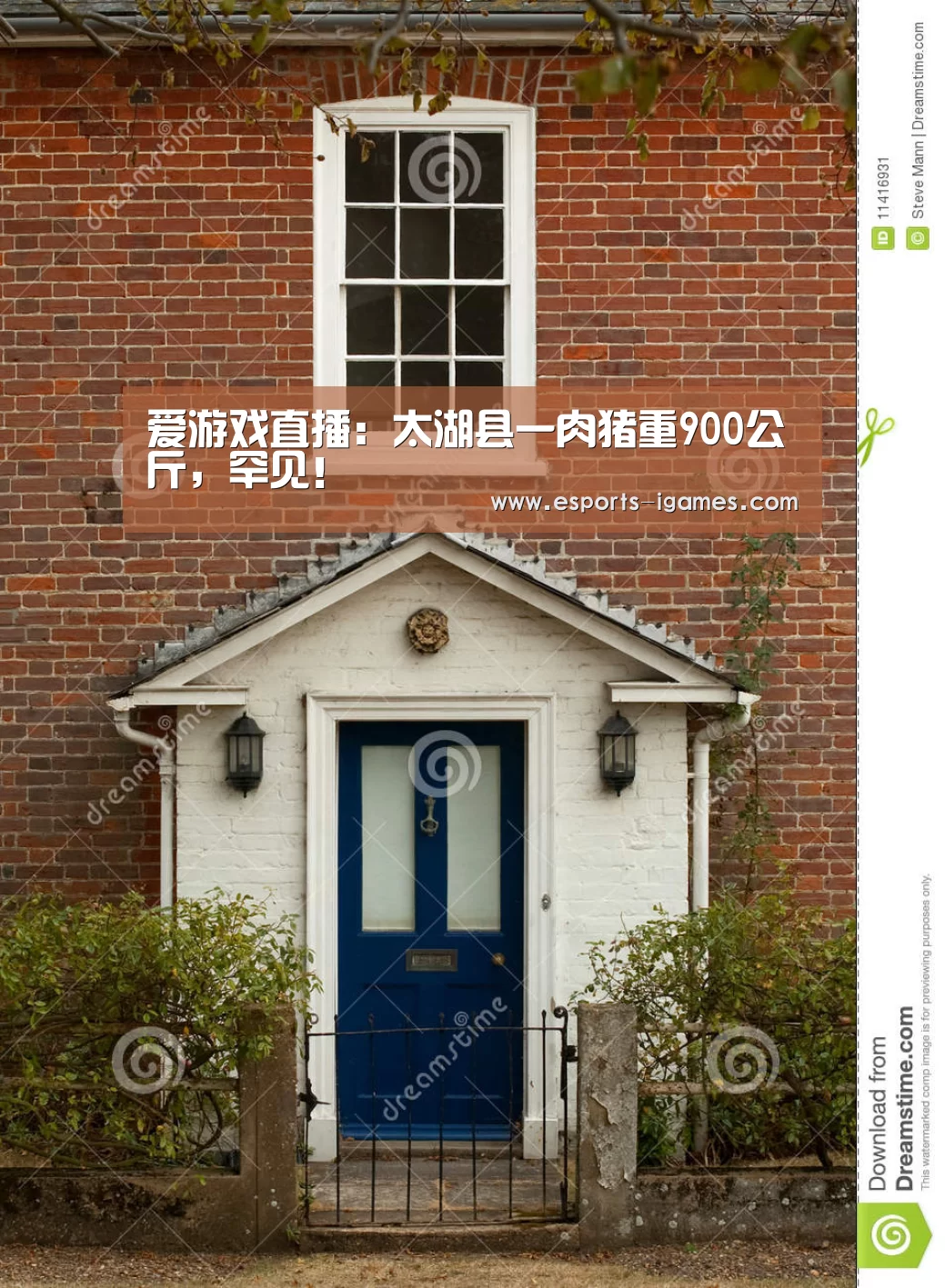 爱游戏官网
