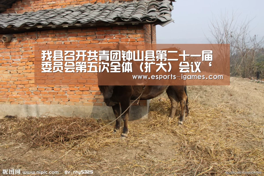我县召开共青团钟山县第二十一届委员会第五次全体(扩大)会议‘爱游戏直播’(图1) 爱游戏官网
