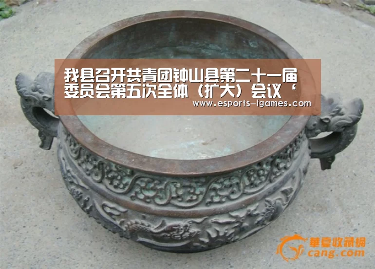 我县召开共青团钟山县第二十一届委员会第五次全体(扩大)会议‘爱游戏直播’(图2) 爱游戏下载