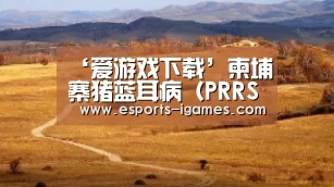 爱游戏官网
