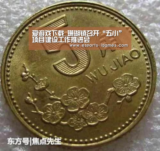 爱游戏下载_珊瑚镇召开“五小”项目建设工作推进会(图2) APP入口