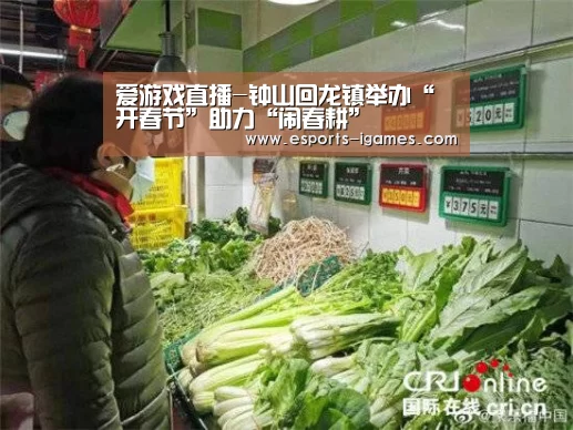 爱游戏直播-钟山回龙镇举办“开春节”助力“闹春耕”(图3) 爱游戏下载