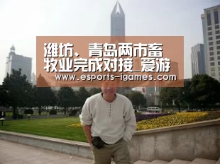 爱游戏直播