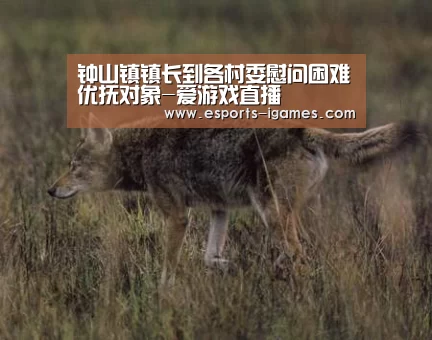爱游戏官网