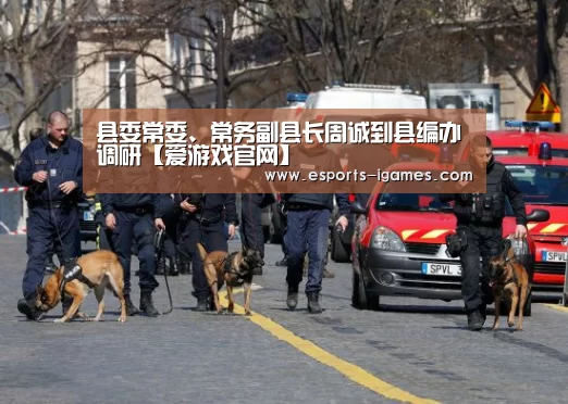 爱游戏官网