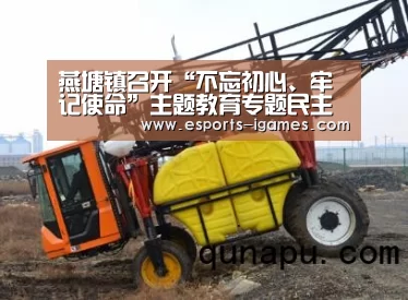 燕塘镇召开“不忘初心、牢记使命”主题教育专题民主生活会|APP入口(图1) APP入口