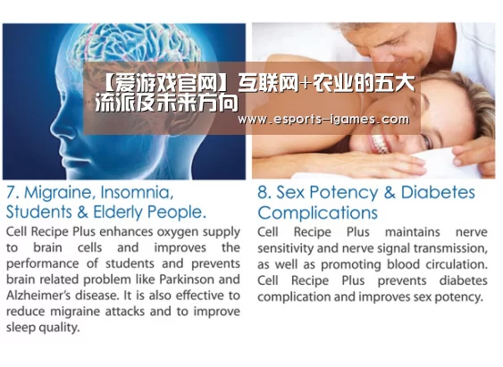 【爱游戏官网】互联网+农业的五大流派及未来方向(图2) APP入口