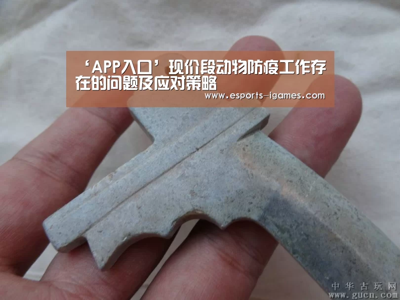 ‘APP入口’现价段动物防疫工作存在的问题及应对策略(图1) 爱游戏直播