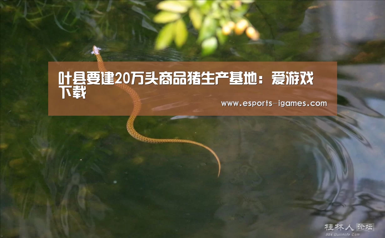 叶县要建20万头商品猪生产基地:爱游戏下载(图3) 爱游戏官网