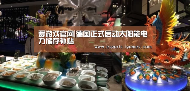 爱游戏官网|德国正式启动太阳能电力储存补贴(图2) APP入口