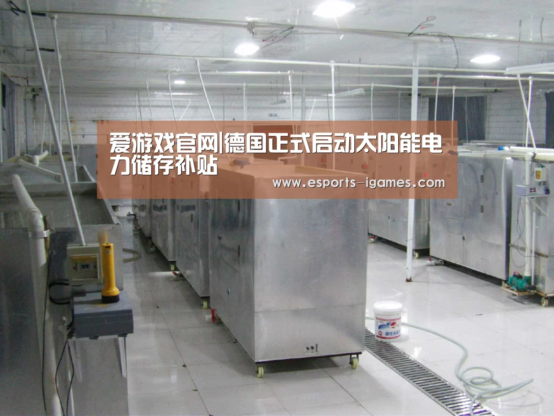 爱游戏官网|德国正式启动太阳能电力储存补贴(图4) 爱游戏官网