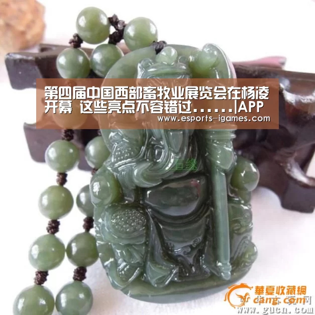 爱游戏下载